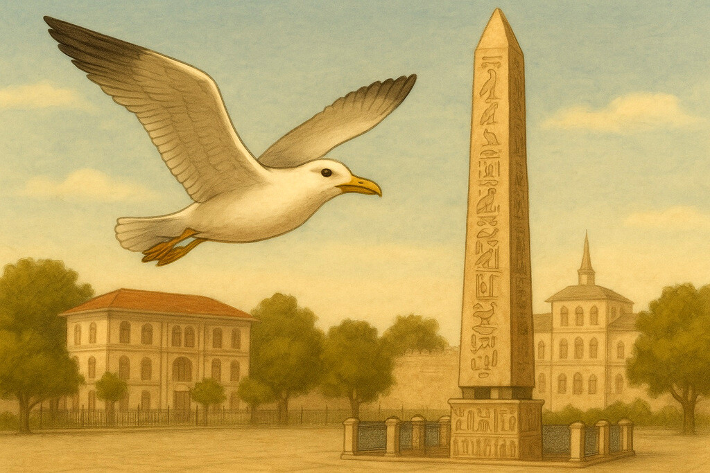 Who is Alek the Seagull, the fable hero of the Istanbul Stories website?